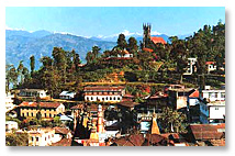 Silver Oaks - Kalimpong