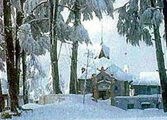 Shimla, Shimla India, Shimla Hotels, Shimla online Hotel Booking, Tour Packages Shimla,Tourism in Shimla,Travel to Shimla,Shimla Tour Packages,Shimla Travel,Shimla Tour