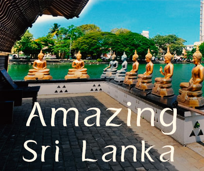 Sri Lanka Packagesl