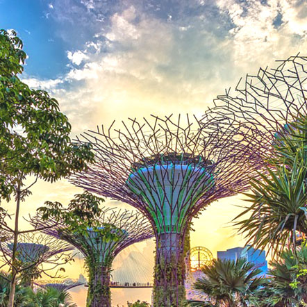 Singapore Holidays Packages