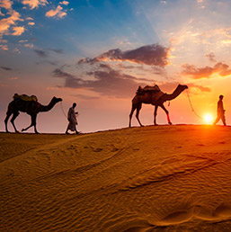 Rajasthan Holidays Packages