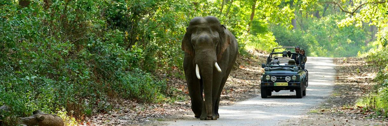 Corbett Tour