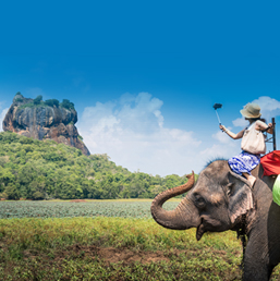 Sri Lanka Holidays Packages