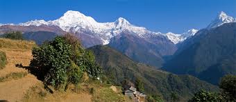 Best of Tripura