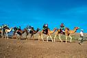 Rajasthan Tour