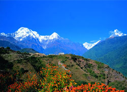 Destination East Himalaya