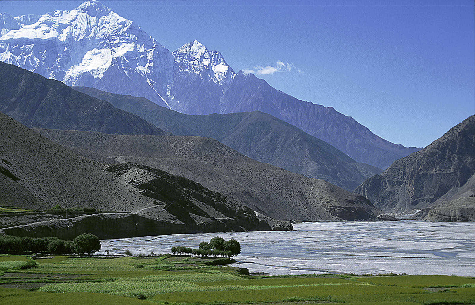 East Himalayan Glitter