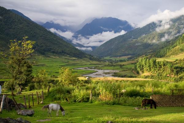 Explore Arunachal Pradesh