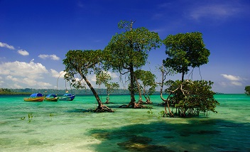 Glimpse of Andamans