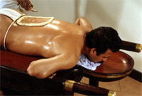 Ayurveda Treatments - Kadauv