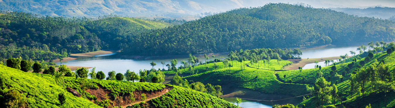 Kerala Package (05 Nights / 06 Days)