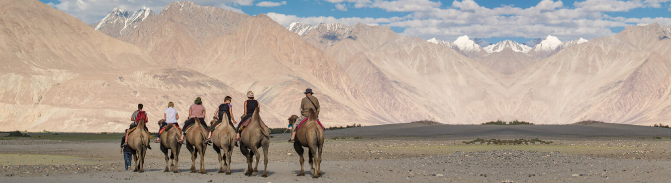 Sand Dunes Of Ladakh