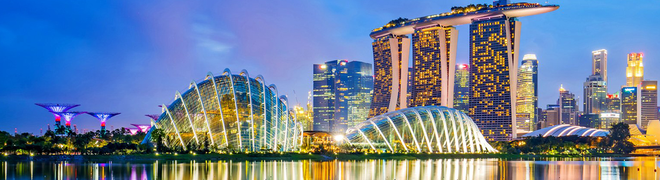 5 Nights Singapore With Cruise Package