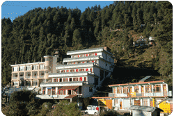 Spring Valley Resort - Dharamshala