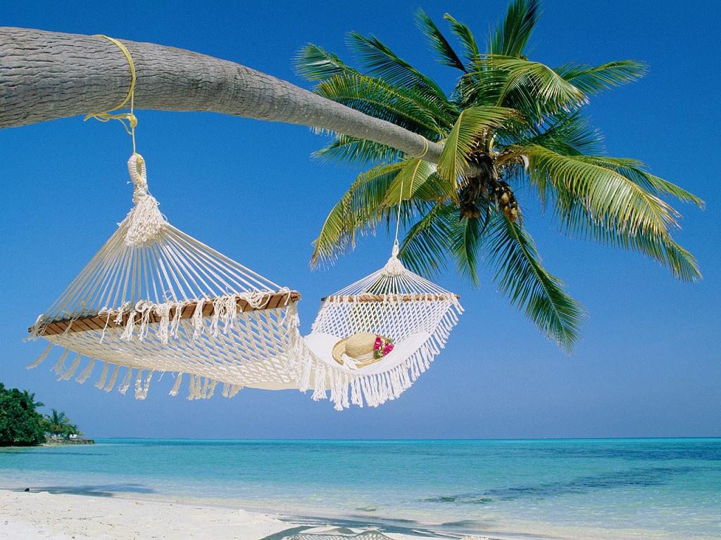 Kerala Experience