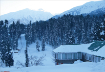Kashmir airlines, Kashmir in india, Kashmir the paradise, Kashmir Packages India