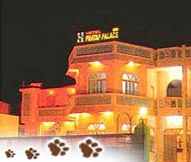 Hotel Pratap Palace: Bharatpur