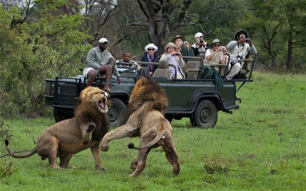 Spectacular South Africa [9 days]