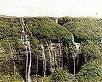 The Wettest Land on Earth