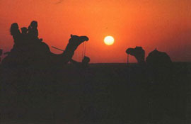 Jaisalmer Travel Guide presented by STICHolidays with complete travel information about Jaisalmer in India, one of the city of Rajasthan, Jaisalmer Travel Packages, Tour Plans and Holiday Packages for Jaisalmer, Jaisalmer Hotels  and Hotel Packages from Jaisalmer, Rajasthan Tourism, Tours of Rajasthan and information about Flights to Jaisalmer, Book Hotels from STIC